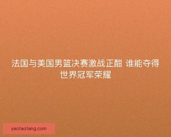 法国与美国男篮决赛激战正酣 谁能夺得世界冠军荣耀