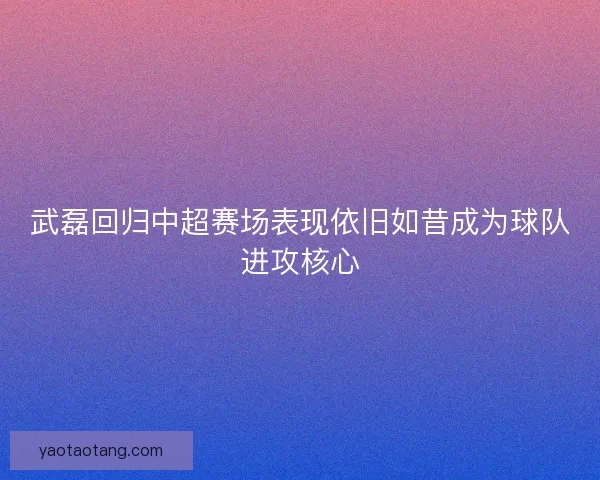 武磊回归中超赛场表现依旧如昔成为球队进攻核心 武磊回归中超赛场表现依旧如昔成为球队进攻核心